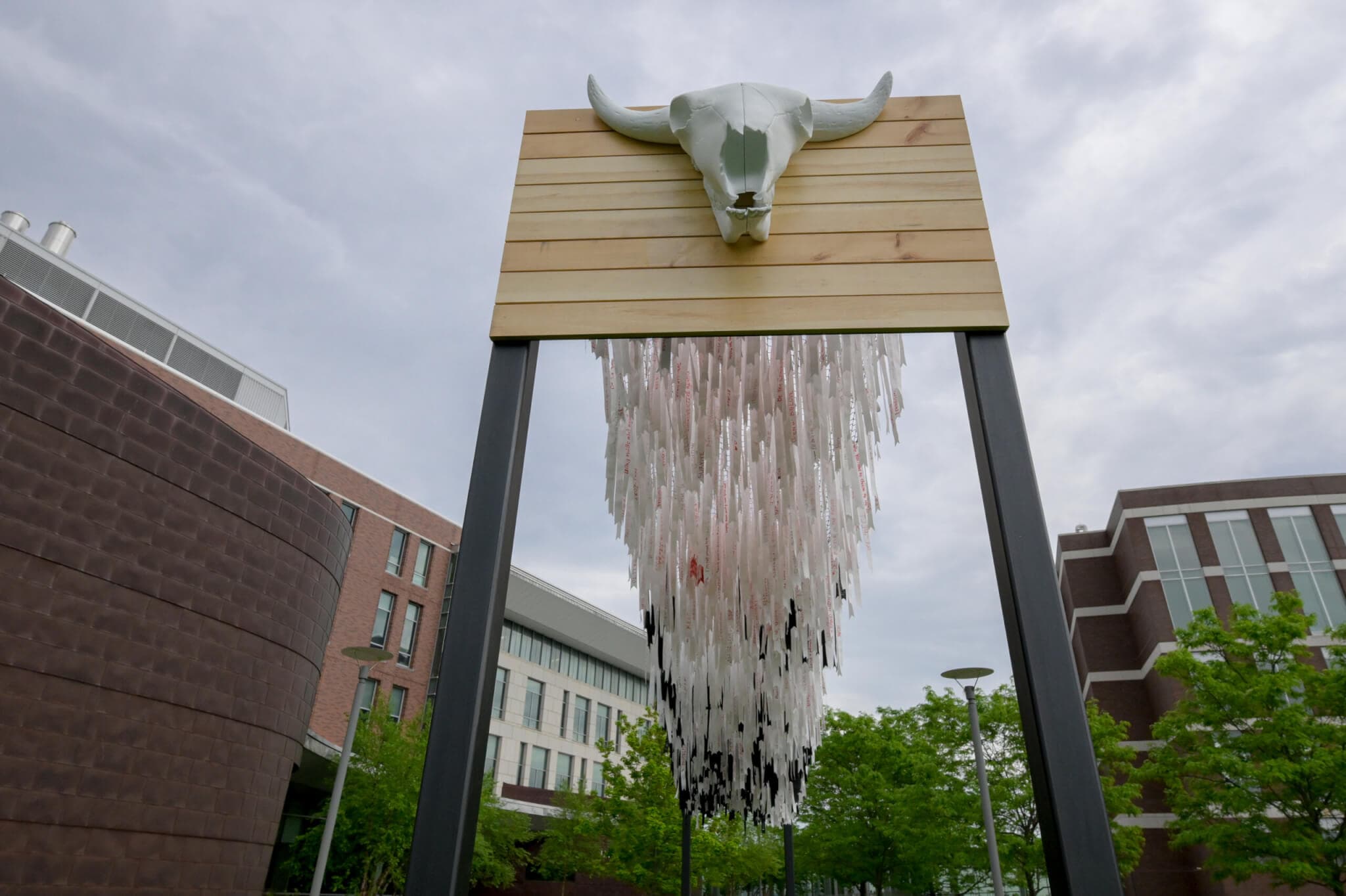 A sculpture featuring a buffalo head and individually tied strips of ribbon.